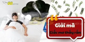 Giải mã giấc mơ thấy rắn có điềm báo gì, nên đánh con nào?