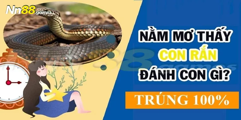 Chọn số đánh lô đề từ giấc mộng thấy rắn