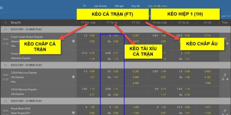 Bảng kèo thể thao Kubet được thiết kế tối ưu