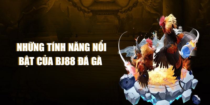 Những tính năng nổi bật của BJ88 đá gà